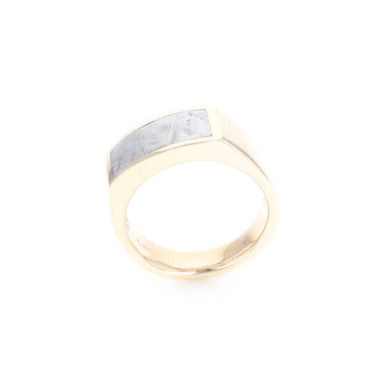Rectangle Meteorite Inlaid Ring
