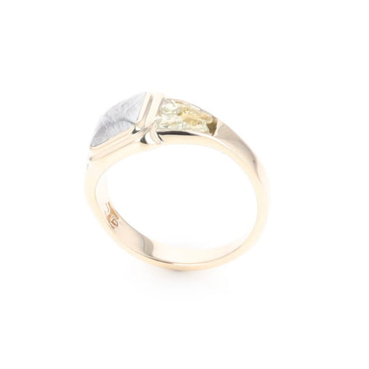 Meteorite & Gold Nugget Ring