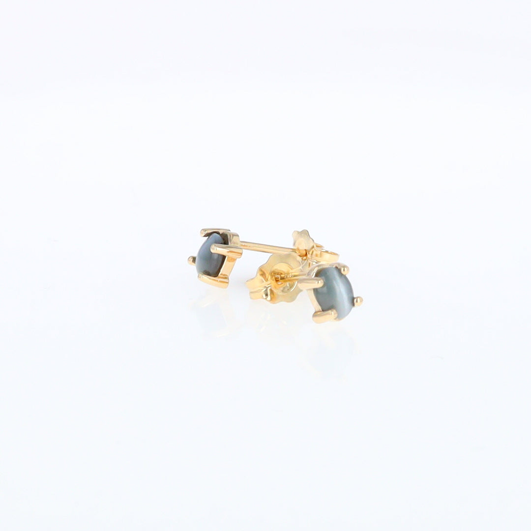 Cat's Eye Alexandrite Studs