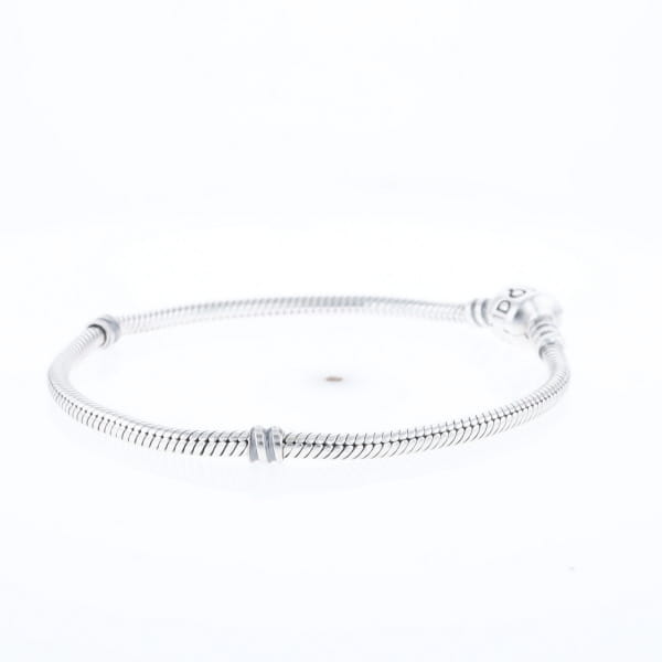 Pandora Moments Charm Bracelet