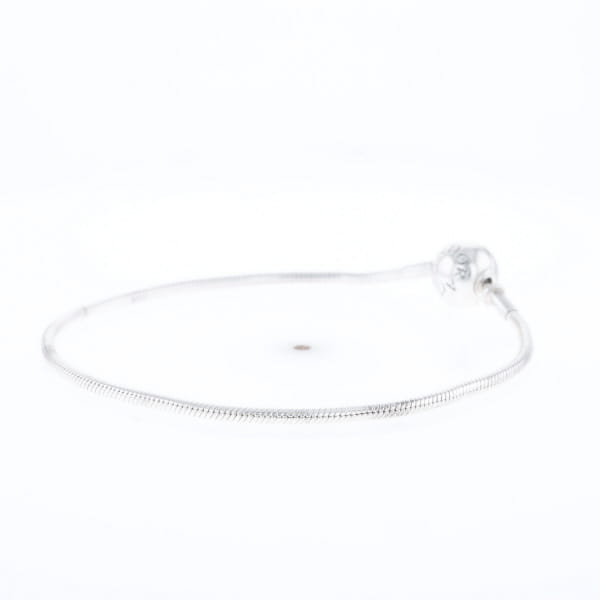 Pandora Moments Charm Bracelet