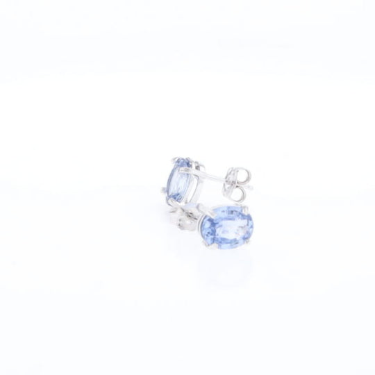 Ceylon Sapphire Stud Earrings