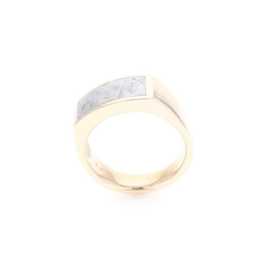 Rectangle Meteorite Inlaid Ring