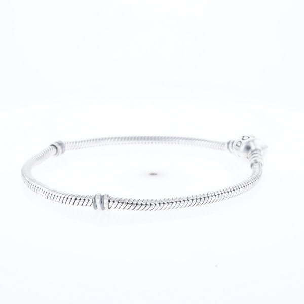 Pandora Moments Charm Bracelet