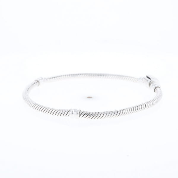 Pandora Moments Charm Bracelet