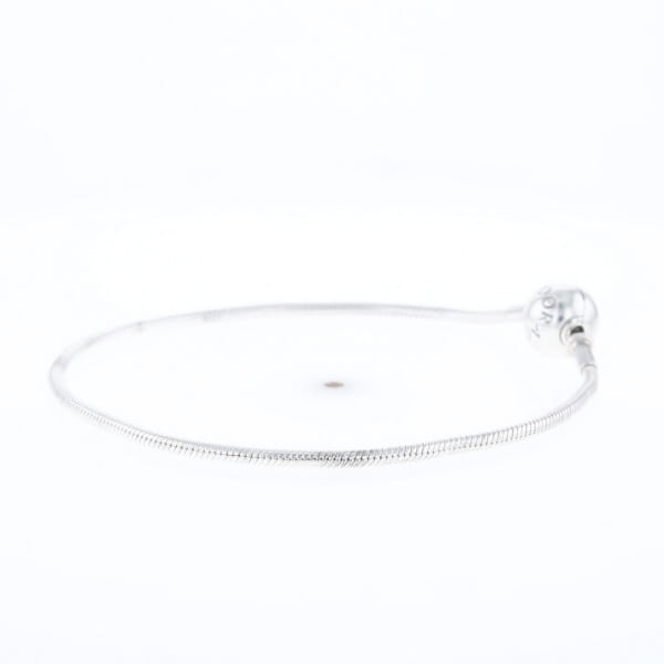 Pandora Moments Charm Bracelet