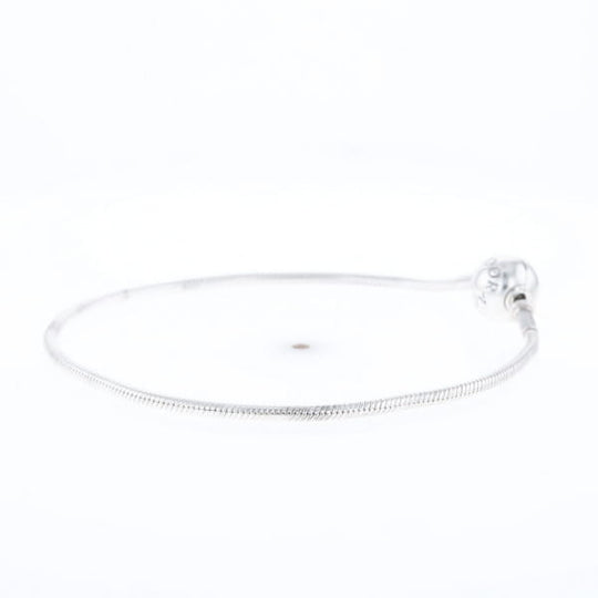 Pandora Moments Charm Bracelet