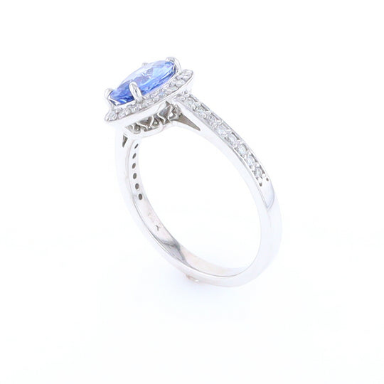 Oval Ceylon Sapphire with Diamond Halo Ring