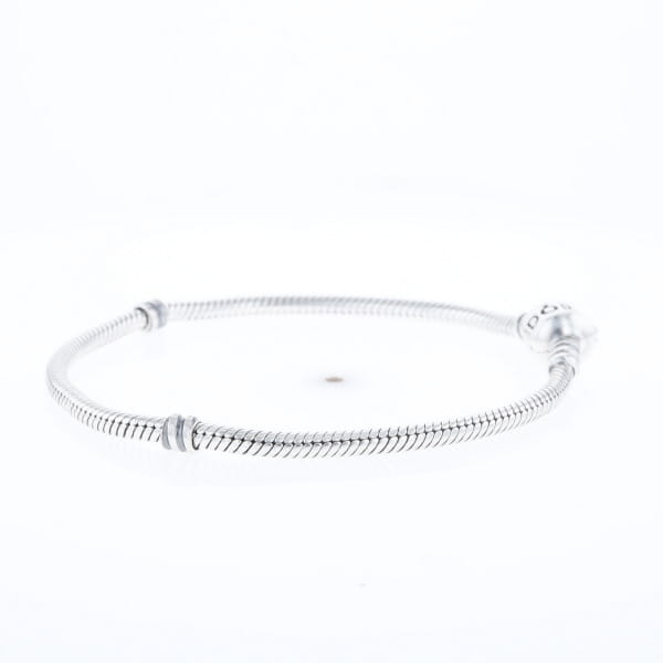 Pandora Moments Charm Bracelet