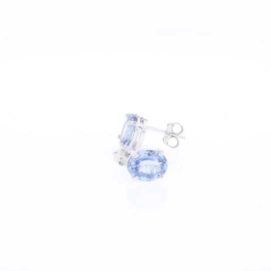Ceylon Sapphire Stud Earrings