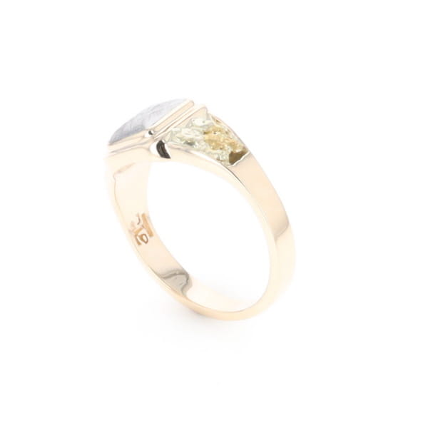 Meteorite & Gold Nugget Ring