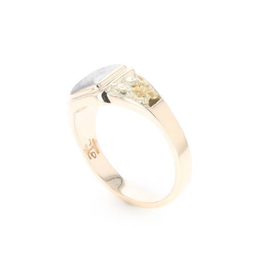 Meteorite & Gold Nugget Ring