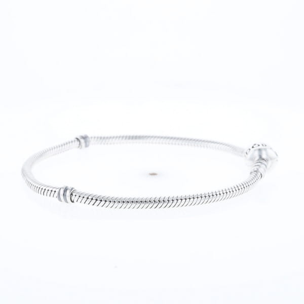 Pandora Moments Charm Bracelet