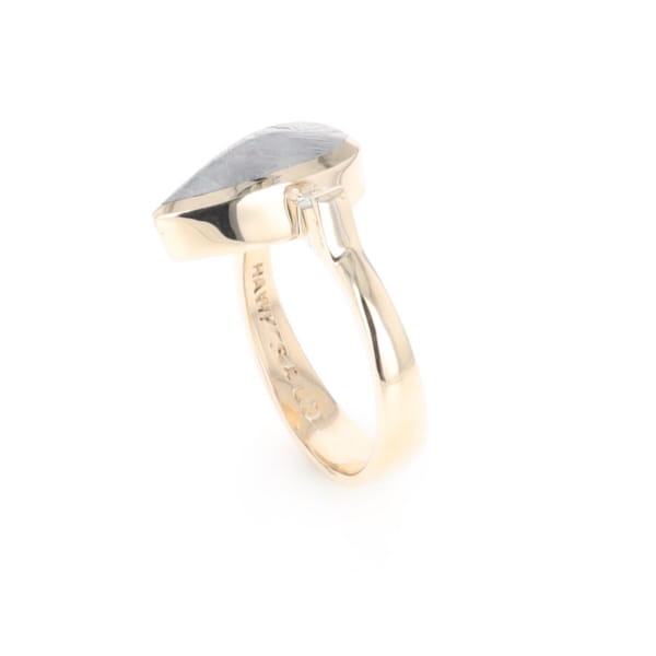 Meteorite Pear Shape Inlay Ring