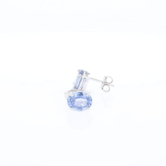 Ceylon Sapphire Stud Earrings