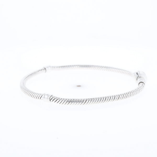 Pandora Moments Charm Bracelet