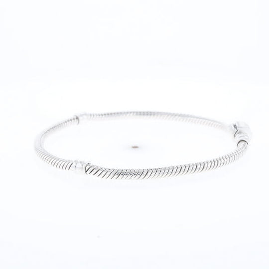 Pandora Moments Charm Bracelet