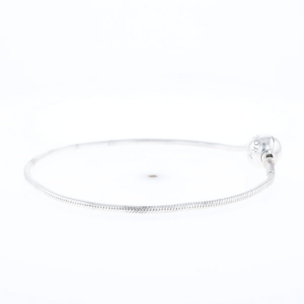 Pandora Moments Charm Bracelet