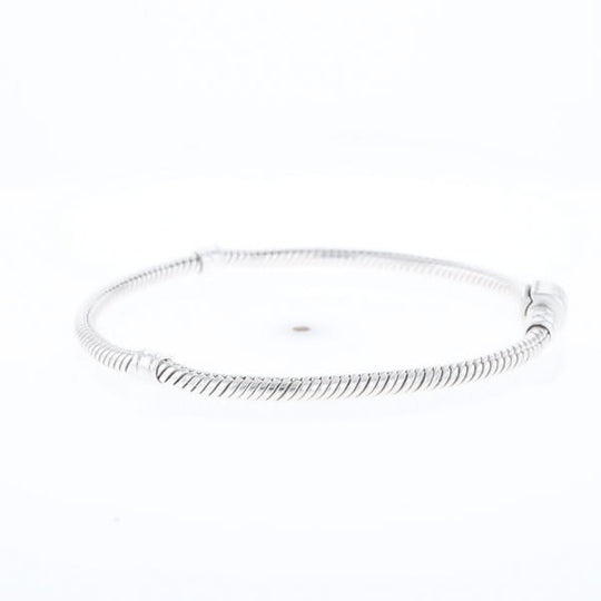 Pandora Moments Charm Bracelet