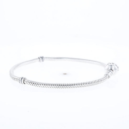 Pandora Moments Charm Bracelet