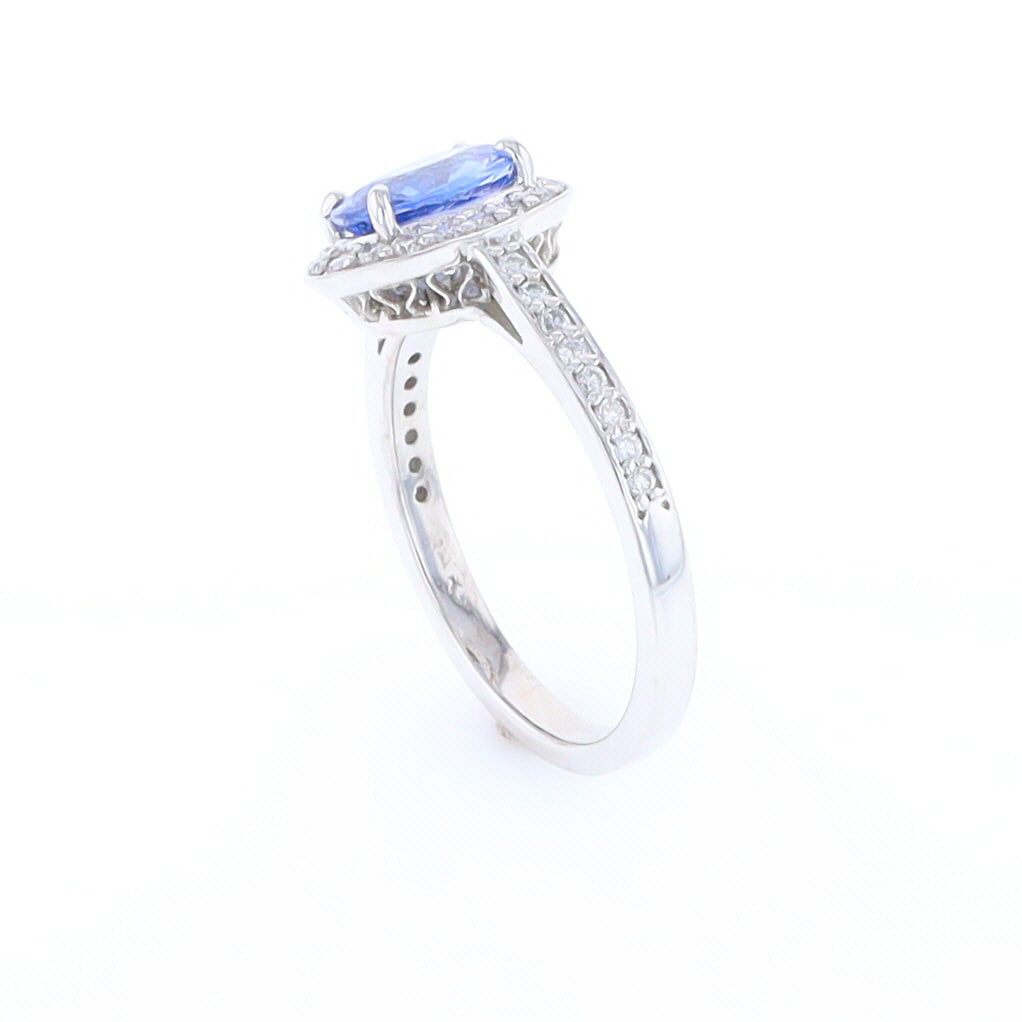 Oval Ceylon Sapphire with Diamond Halo Ring