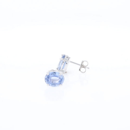 Ceylon Sapphire Stud Earrings