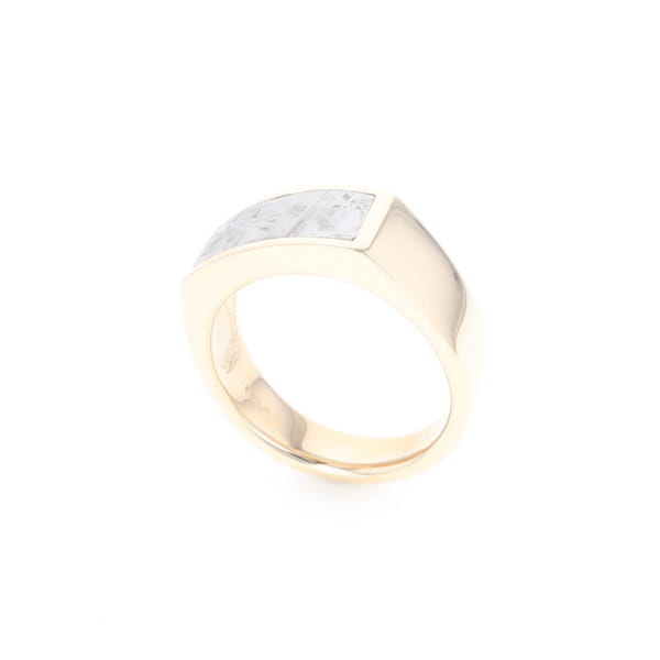 Rectangle Meteorite Inlaid Ring