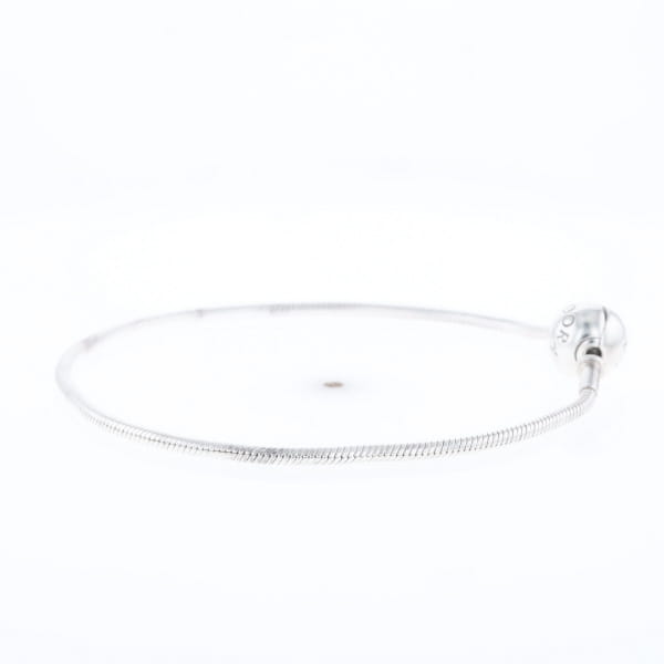 Pandora Moments Charm Bracelet