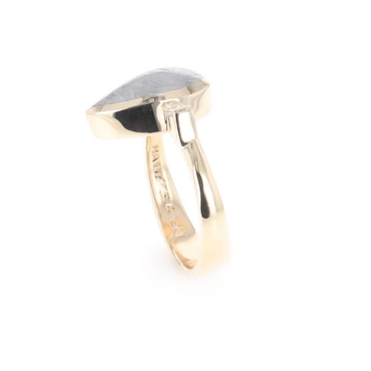 Meteorite Pear Shape Inlay Ring