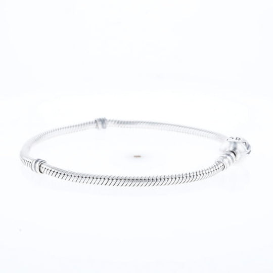 Pandora Moments Charm Bracelet