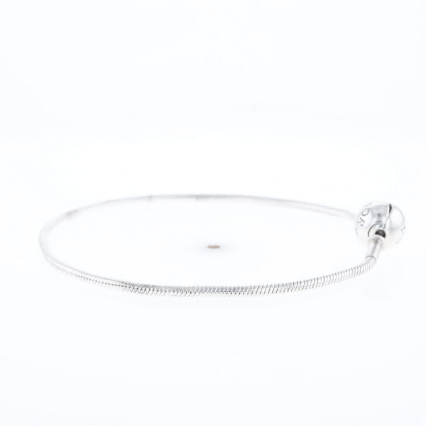 Pandora Moments Charm Bracelet