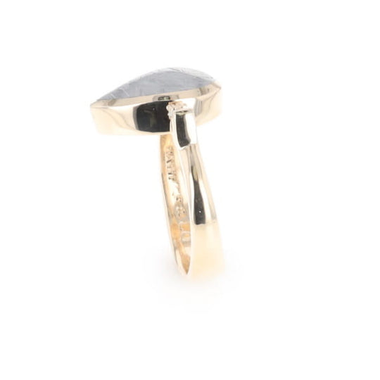 Meteorite Pear Shape Inlay Ring