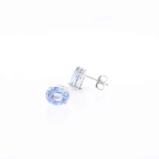 Ceylon Sapphire Stud Earrings