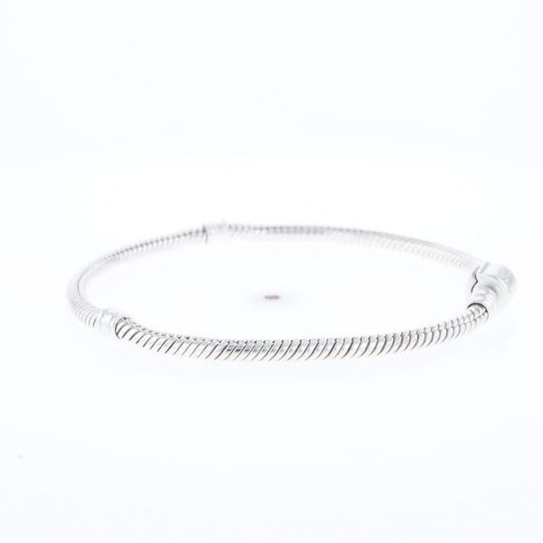 Pandora Moments Charm Bracelet