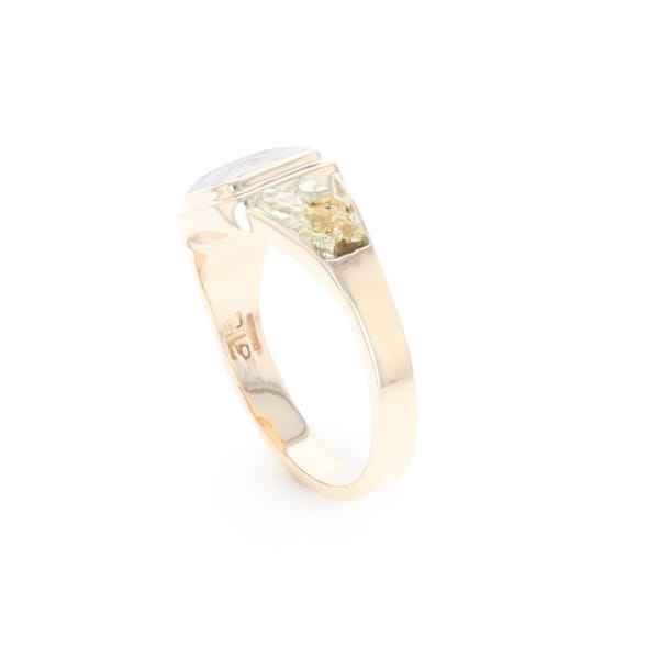 Meteorite & Gold Nugget Ring