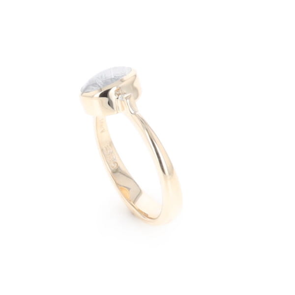 Meteorite Oval Inlay Ring