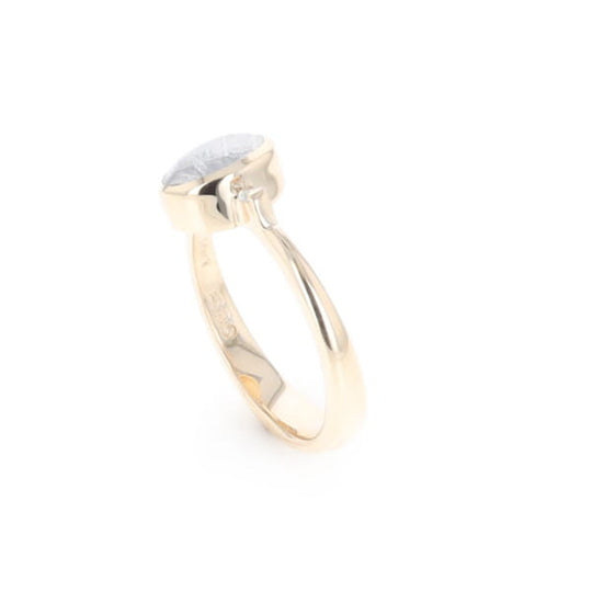 Meteorite Oval Inlay Ring