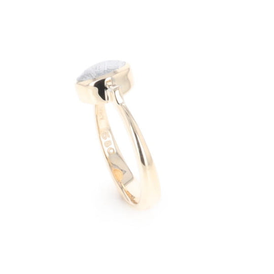 Meteorite Oval Inlay Ring