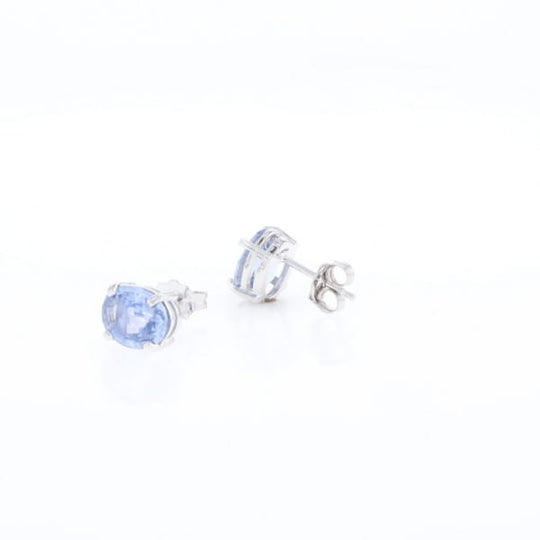 Ceylon Sapphire Stud Earrings