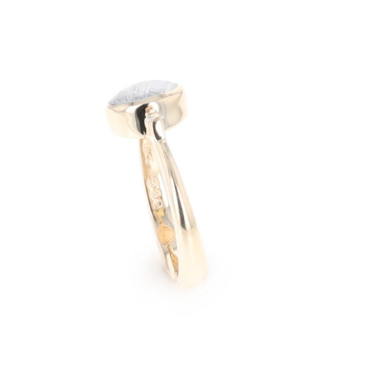 Meteorite Oval Inlay Ring