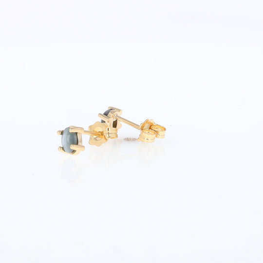 Cat's Eye Alexandrite Studs