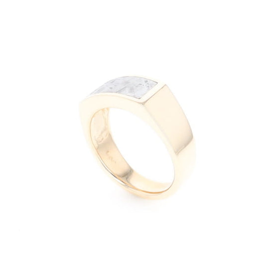 Rectangle Meteorite Inlaid Ring