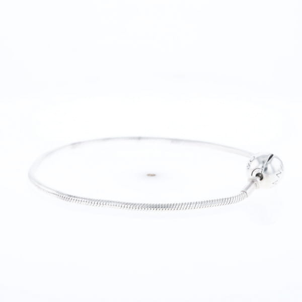 Pandora Moments Charm Bracelet