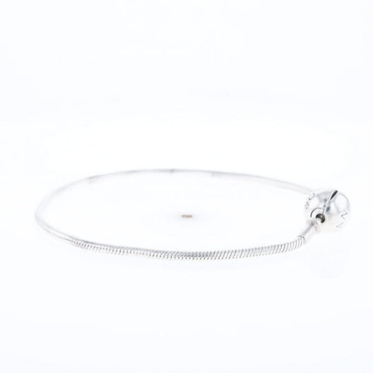 Pandora Moments Charm Bracelet