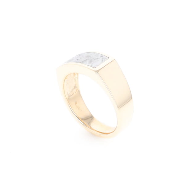 Rectangle Meteorite Inlaid Ring