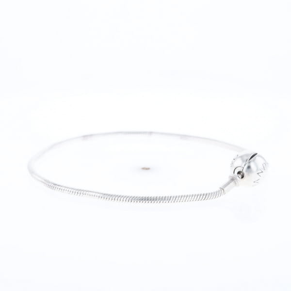 Pandora Moments Charm Bracelet