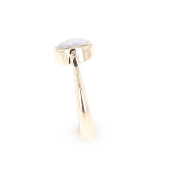 Meteorite Oval Inlay Ring