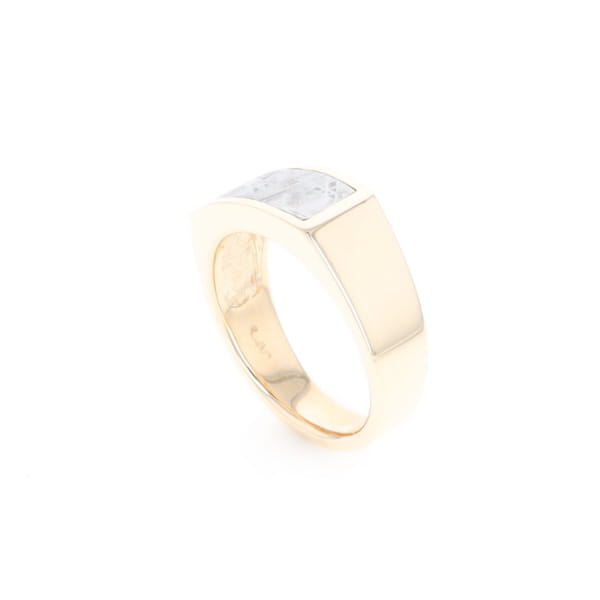 Rectangle Meteorite Inlaid Ring