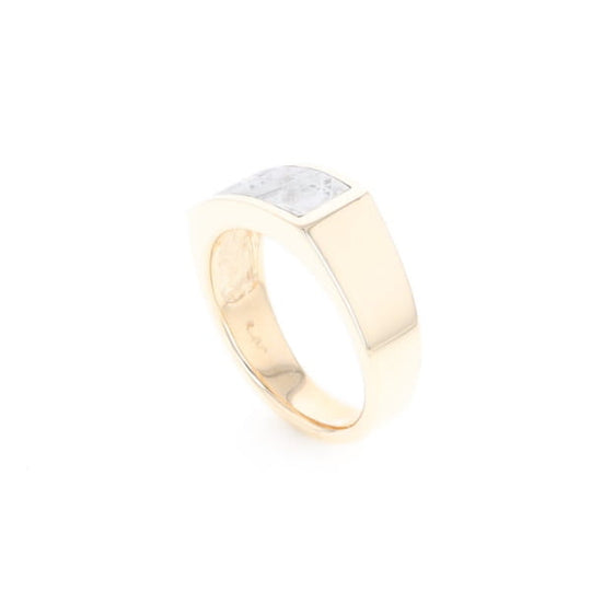 Rectangle Meteorite Inlaid Ring