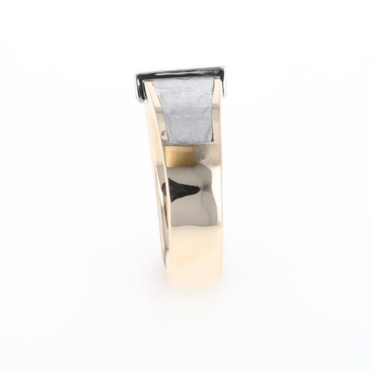 Meteorite Ring Double Sided Inlaid with .19ctw Round Diamonds